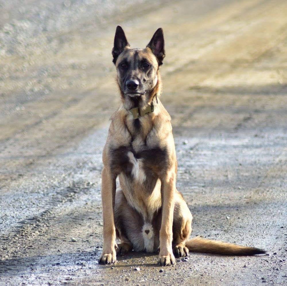 Meet your Posher, Rob